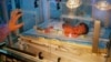 Study: Preterm Birth Complications Leading Cause of Death for Young Children