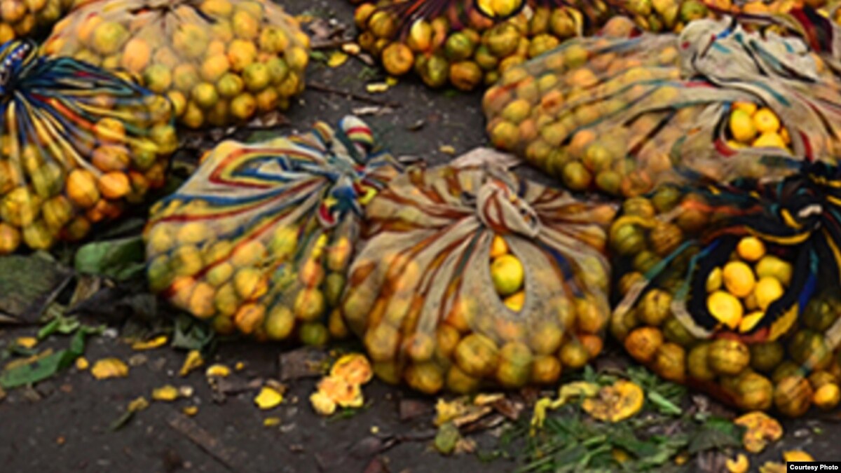 Starving Zimbabwe Villagers Selling Wild Fruits for Survival