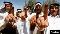 지난 30일 이라크 나자프에서 총선에 투표한 주민들이 잉크가 묻은 손가락을 들어보이고 있다.