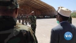Somalia Still Counts on US Air Support Against al-Shabab 