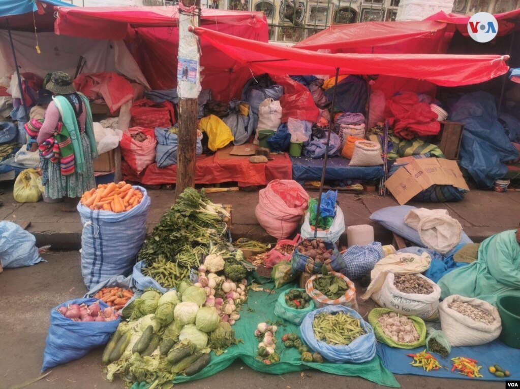 La decisión de la presidente Áñez de comenzar un diálogo con los movimientos sociales también logró ir regularizando el suministro de alimentos y combustibles. Foto: Yuvinka Gozalvez - VOA..