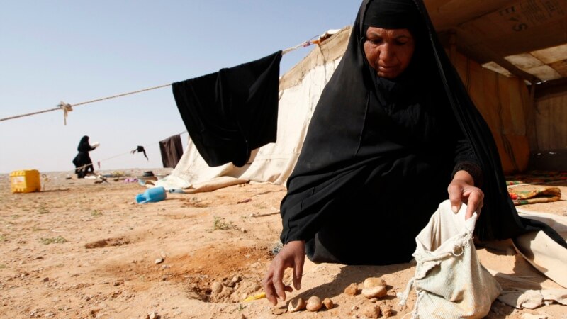 ‘A Blessing from God:’ Iraqis Harvest Truffles