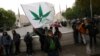Paraguay Congress Legalizes Planting of Medical Marijuana