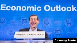 Direktur Departemen Riset IMF, Maurice Obstfeld