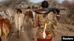 A Turkana tribesman carries his gun in order to protect his cattle from rival Pokot and Samburu tribesmen near Baragoy, Kenya February 13, 2017. 