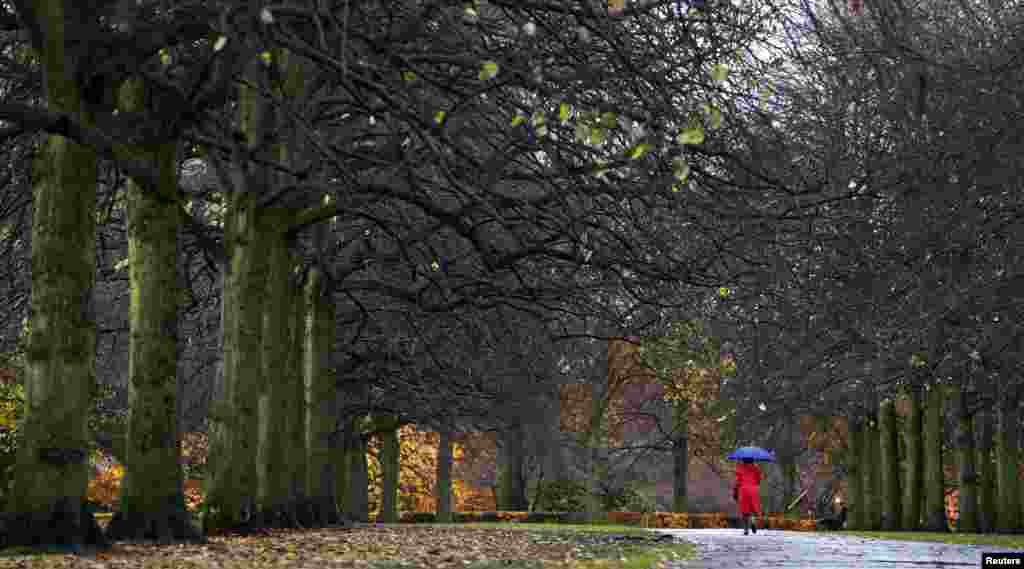 پیاده روی در هوای بارانی -پارک کالدرستون در شهر لیورپول انگلیس.&nbsp;