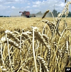 Experts say previous cuts in research and development funding have resulted in a decline in growth of US crop yields since 1990.