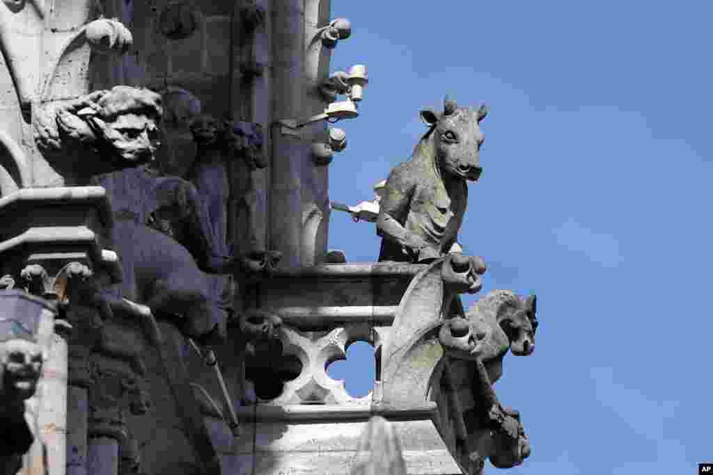 یکی از ویژگی های کلیسای جامع نوتردام در شهر پاریس، مجسمه های آن روی دیوارها و لبه سقف آن است که به شکل های عجیبی ساخته شده اند.&nbsp;