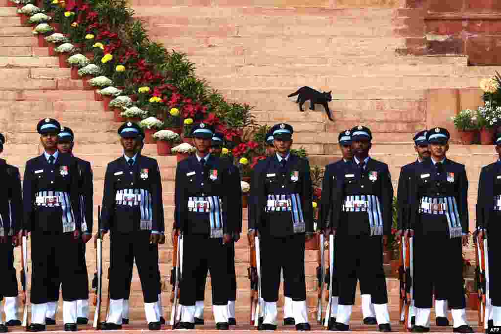 A cat makes its way down the stairs of the Presidential Palace as an honor guards stand in formation before the welcome ceremony for Sri Lankan President Maithripala Sirisena, New Dehli, Feb. 15, 2015.