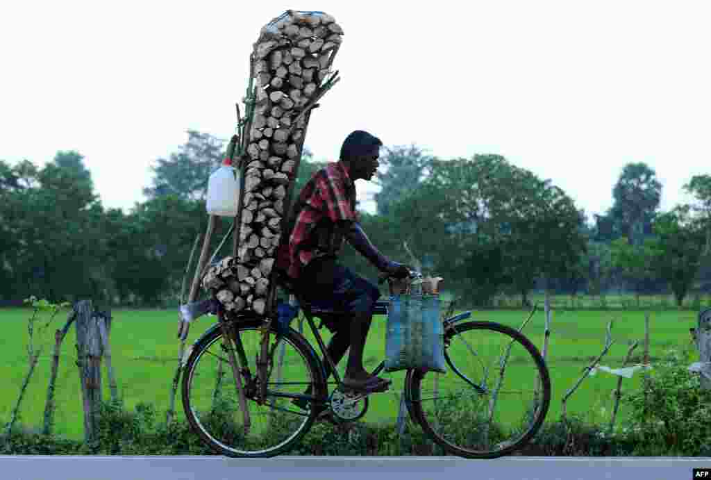 A Sri Lankan man cycles his bicycle laden with firewood to be sold in the northern town of Kilinochchi.