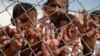 '중동 등 갈등 지역에서 어린이 체포 고문 사례 증가'
