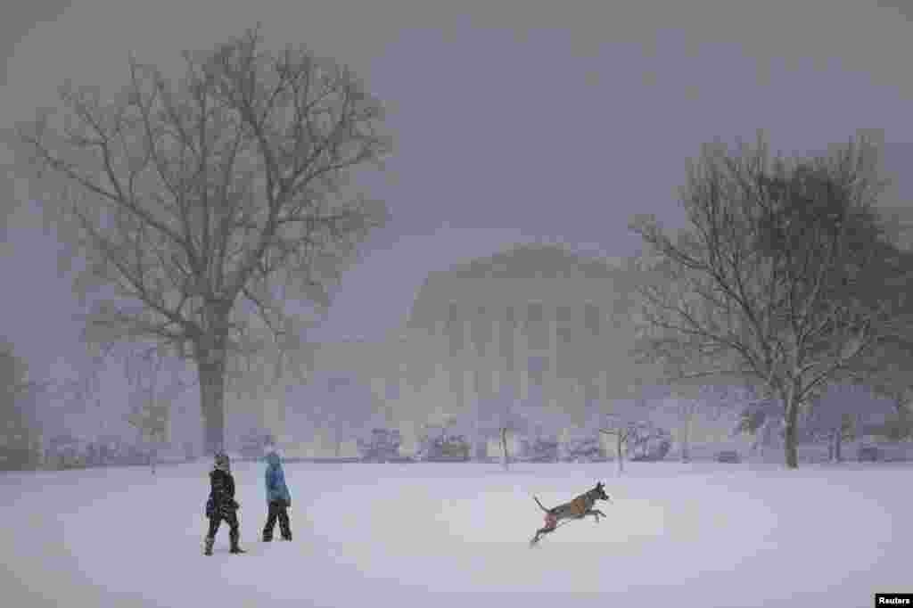 Julia y Danielle Vrasure juegan con su perro, Archie, durante la tormenta de nieve cerca de la Corte Suprema de EE. UU.