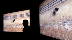 Sony 8K prototype televisions are on display after a Sony news conference at CES International, Monday, Jan. 8, 2018, in Las Vegas. (AP Photo/John Locher)