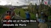 Thumbnail for Puerto Rico's Interactive Timeline