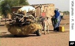 Scène de rue dans un village mauritanien (Archives)