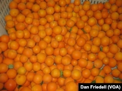 Local oranges used to make Hangar 24's Orange Wheat beer in Redlands, California.