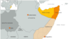 Regional Somali Forces 'Destroy' Islamic State Base