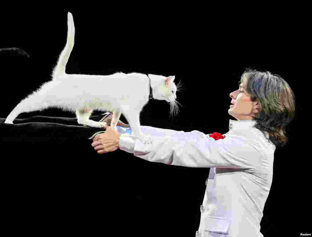 A cat and its trainer perform during &quot;The Circus Princess&quot; at the National Circus in the Ukrainian capital of Kyiv.