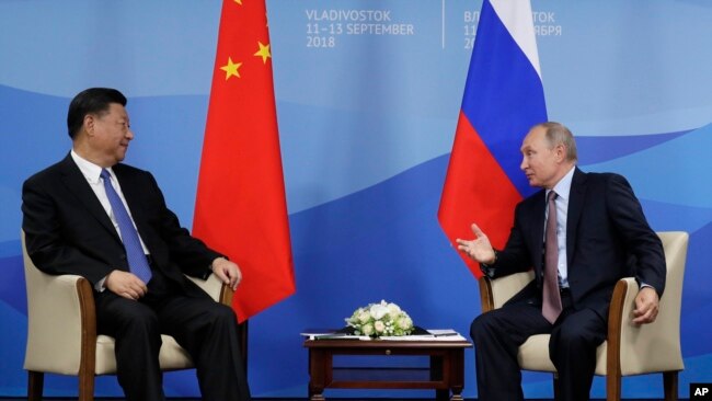中国国家主席习近平和俄罗斯总统普京在符拉迪沃斯托克（又称海参崴）出席东方经济论坛期间举行会晤。（2018年9月11日）