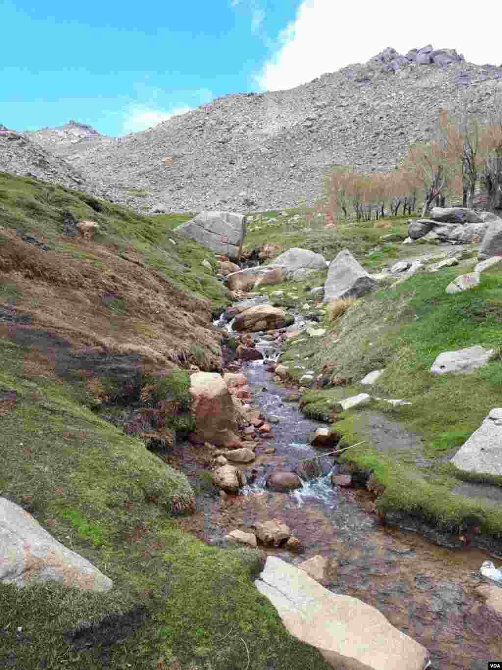 دشت میشان کوههای عباس آباد همدان عکس: احمد (ارسالی شما) 