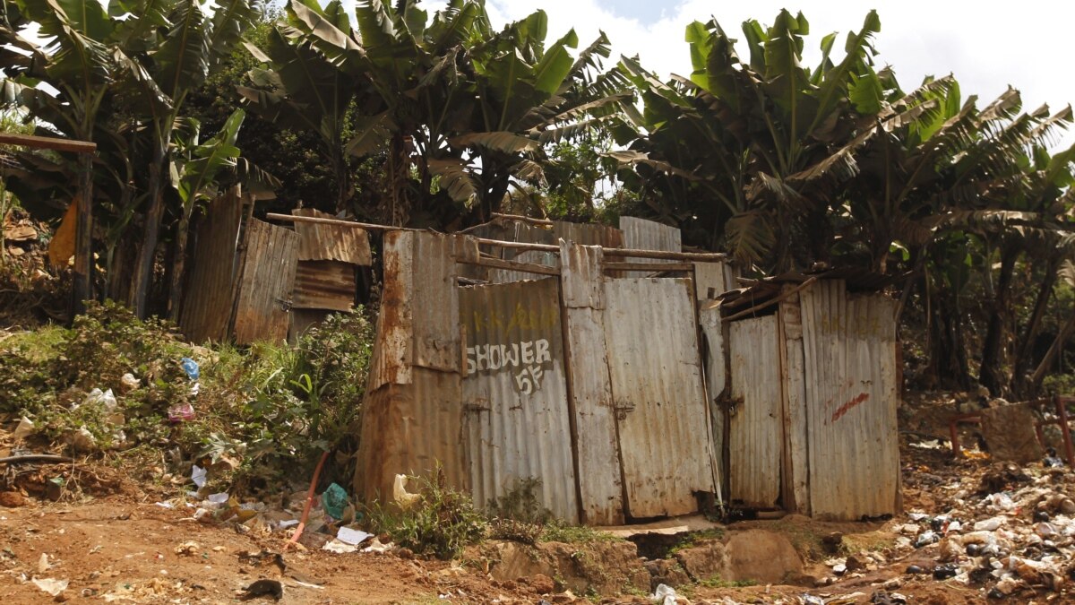 In Kenya, Portable Toilets Find a New Role Protecting Trees