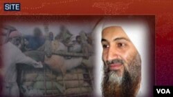 Rekaman suara terbaru Osama bin Laden muncul di situs militan hari ini.