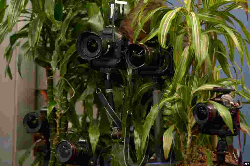 A photographer looks through his camera amidst other cameras set up on a plant pot to document German Chancellor and Christian Democratic Union candidate (CDU) at a polling station in Berlin, Sept. 22, 2013.