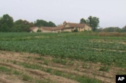 租借给义工农场的26公顷的土地