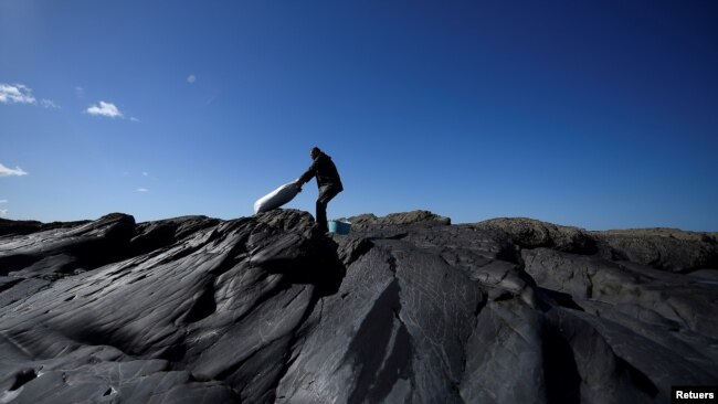 Patrick Darcy, a seaweed harvester, heaves a sack full of harvested Dillisk seaweed (palmaria palmata) to carry on his back in the County Clare village of Quilty, Ireland, April 13, 2021. (REUTERS/Clodagh Kilcoyne)