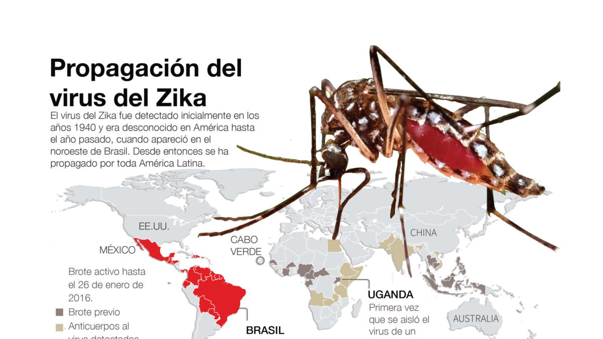 La Organización Mundial de Salud manifestó que el virus del Zika constituye  una emergencia internacional 