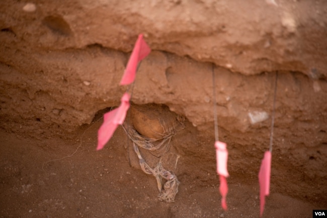 A human skull and clothing buried nearly 30 years ago is uncovered in a mass grave in Berbera, Somaliland. (J. Patinkin/VOA)