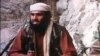 '미국, 오사마 빈 라덴 사위 구금'