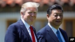 FILE - President Donald Trump and Chinese President Xi Jinping walk together after their meetings at Mar-a-Lago, April 7, 2017, in Palm Beach, Florida.