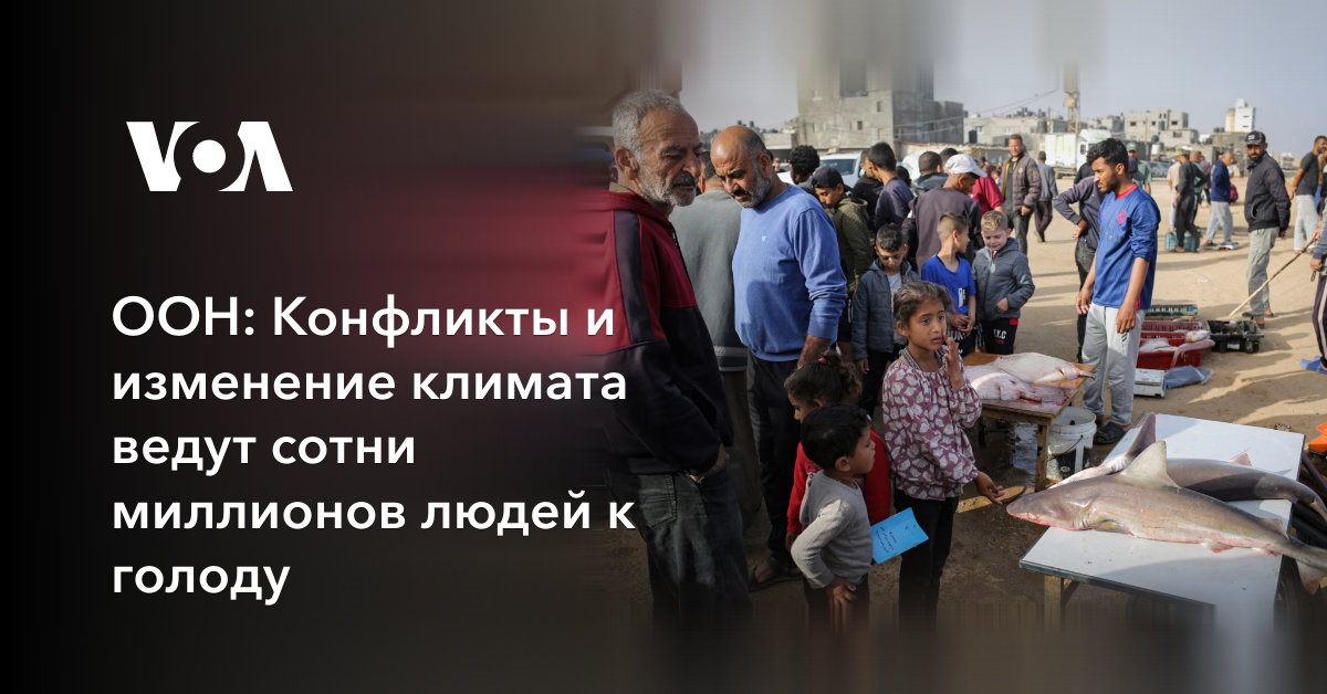           -     UNHCR Russia