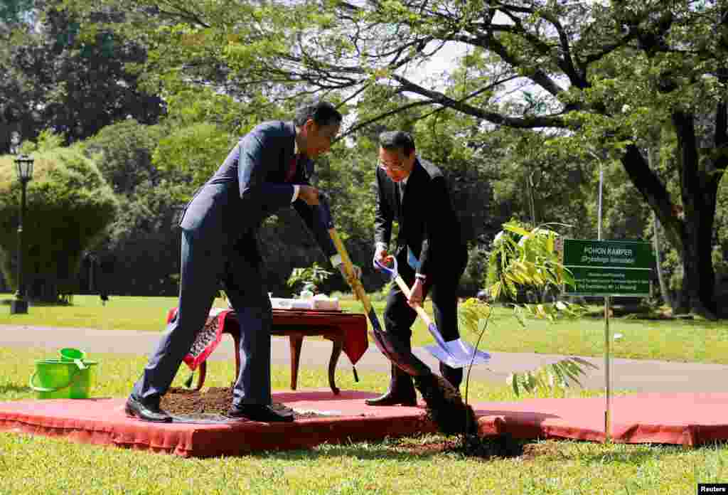 中国总理李克强5月7日访问印尼 主人干脆将地毯一路铺到小树旁