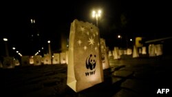 Kantung kertas dengan logo WWF dekat Vatikan saat kampanye tahunan Earth Hour di Roma, 31 Maret 2012. (Foto: AFP)