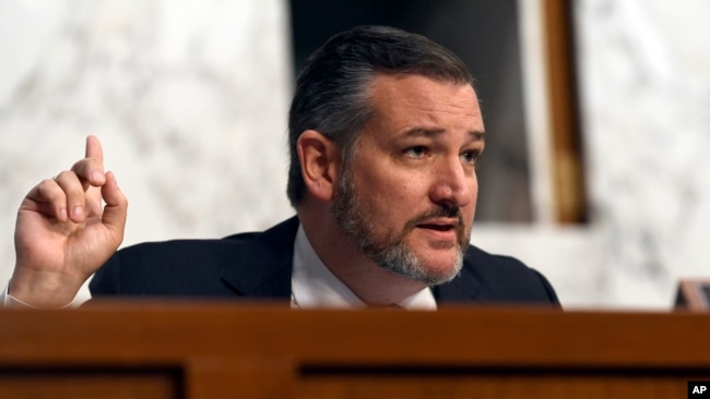 资料照:共和党联邦参议员克鲁兹(Sen. Ted Cruz, R-TX)