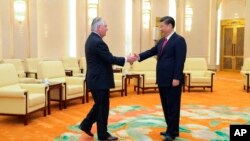 中国主席习近平和美国国务卿蒂勒森在北京人民大会堂会晤（2017年3月19日）