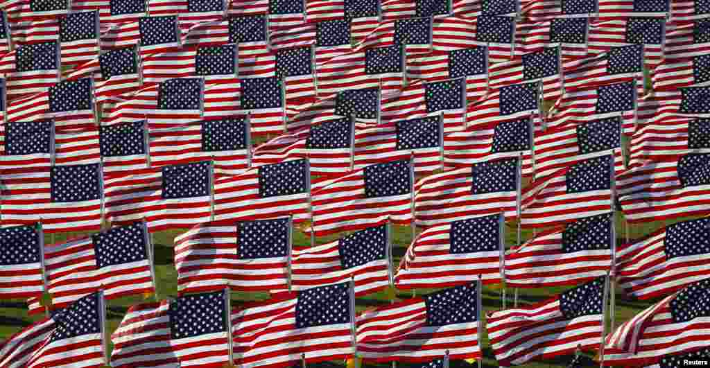 سابق فوجیوں کی یاد میں تقریباً 2013 امریکی پرچم آویزاں کیے گئے ہیں۔