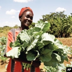 Regina Jackson, 35, is married with 6 kids in Simotwa village, West Pokot, Kenya. She part of ActionAid efforts to help smallholder farmers.