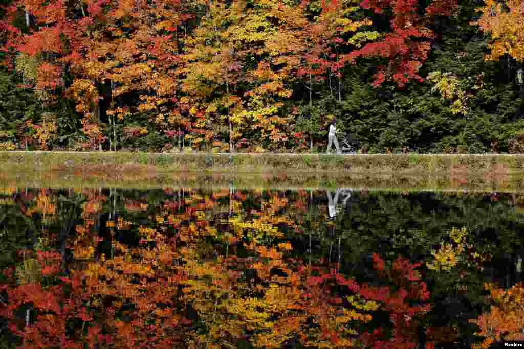 A woman pushes a baby stroller around Dream Lake amid fall foliage in Amherst, New Hampshire, USA, Oct. 13, 2015.