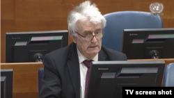 Radovan Karadžić iznosi žalbu na presudu Tribunala kojom je osuđen na 40 godina zatvora