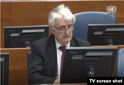 Radovan Karadžić iznosi žalbu na presudu Tribunala kojom je osuđen na 40 godina zatvora