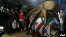 Las cenizas del Pulpo Paul fueron colocadas en un recipiente dentro de la pelota sobre la que reposa la escultura del molusco.