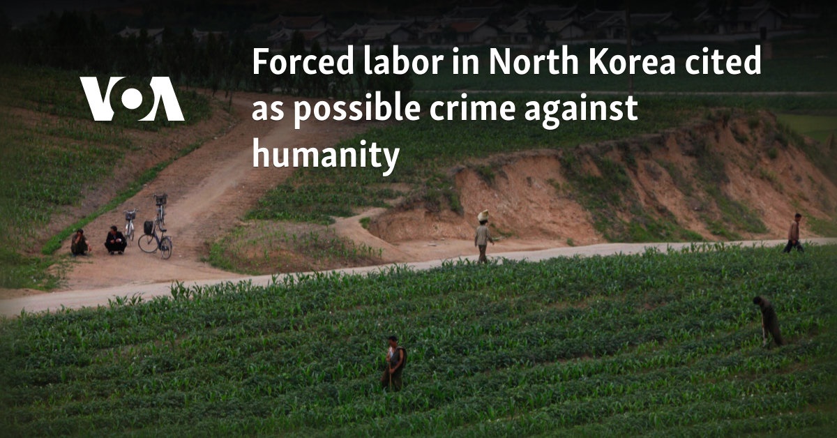 Forced labor in North Korea cited as possible crime against humanity