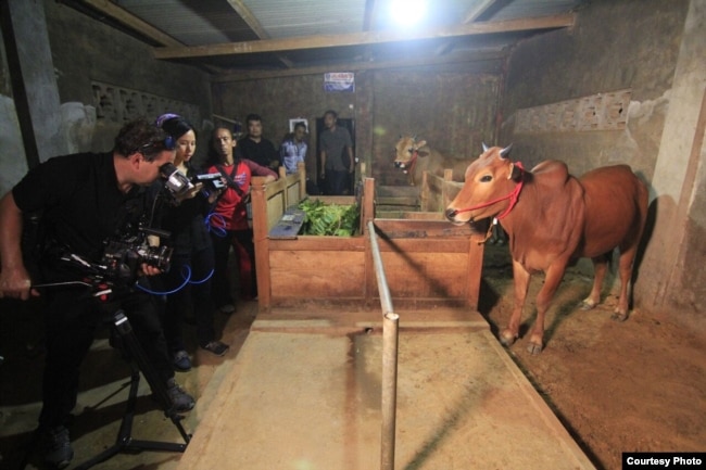 Sutradara Livi Zheng dan kru saat syuting film "The Bull Race" di Indonesia (Dok: Livi Zheng)