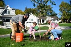 Volunteers planted trees at Minikahda Vista Park during the NeighborWoods Kick-Off Event, Oct. 5, 2016, in St Louis Park, Minn.