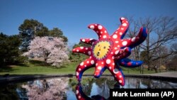 The sculpture "I Want to Fly to the Universe" by Japanese artist Yayoi Kusama is reflected in a pool at the New York Botanical Garden, Thursday, April 8, 2021 in the Bronx borough of New York. 