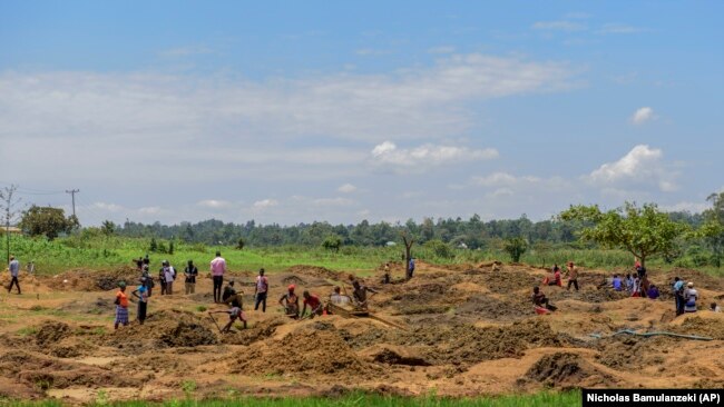 People work at a gold mining site in the village of Mawero, outside of Busia town, in eastern Uganda on Monday, Oct. 18, 2021. With schools closed, students work alongside adults, including some of their teachers, at the mine. (AP Photo/Nicholas Bamulanzeki)