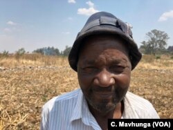 Leo Yuma, a maize farmer in Harare, says he depends on his crop for survival, Sept. 5, 2018.